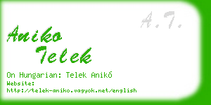 aniko telek business card